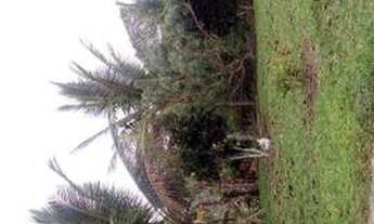 Imagem 5: Fazenda Brisa da Tarde