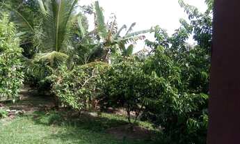 Imagem 2: Fazenda Brisa da Tarde