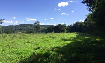 Imagem 2: Excelente sítio contendo 9,2HA em Igrejinha!!!