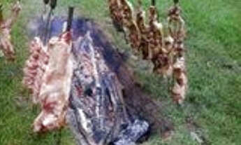 Imagem 6: Ótimo investimento Rural bem próximo ao centro da cidade!!!