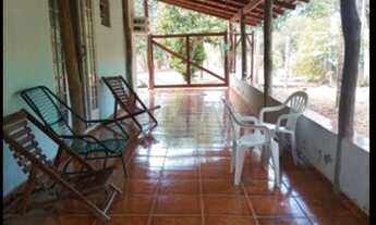 Imagem: SÍTIO/FAZENDA 40 HECTARES Todo formado