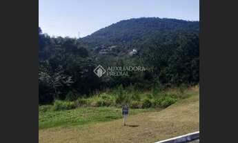 Imagem 7: FLORIANóPOLIS - Terreno Padrão - Itacorubi