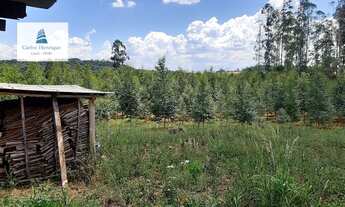 Imagem 6: Área Rural para Venda em ALTO DA SERRA Chapecó-SC