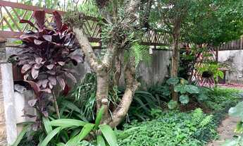 Imagem 3: Casa para renovação, com 400 metros quadrados de terreno