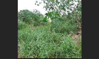 Imagem 2: Lote/Terreno MULTI 2000m² frente AV Itaocaia Valley Itaipuaçu Marica