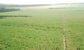 Imagem 4: 97 alqueires (90 de pasto) Paragominas-PA documentada por R$7 milhões