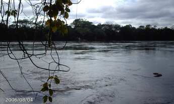 Imagem 4: CHÁCARA EM ACORIZAL-MT