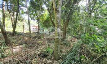 Imagem 5: Amplo terreno localizado no bairro São João em Picada Café na Serra Gaúcha