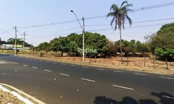 Imagem 4: Terreno à venda, Jardim Patrícia - Uberlândia/MG