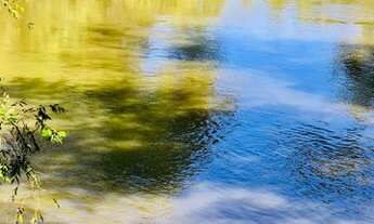 Imagem 6: 10 alqueires com muita agua