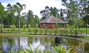 Imagem 6: Rio de Janeiro - Terreno Padrão - Guaratiba