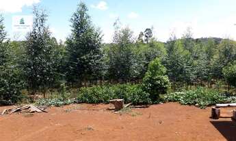 Imagem 4: Área Rural para Venda em ALTO DA SERRA Chapecó-SC