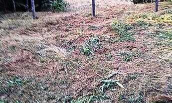 Imagem 3: Excelente chácara Sem Benfeitorias