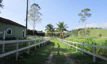 Imagem 2: Fabio Paes Imóveis - Haras 4.13 alq (20 ha) montado, pista de competição e muito mais