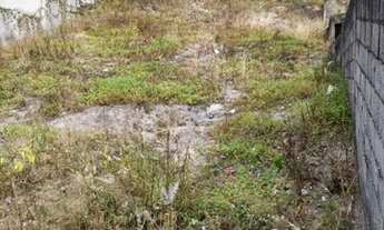 Imagem 6: Oportunidade-Lote murado na rua Berlin, do lado cima da rua- área 360Mts quadr. 140 Mil