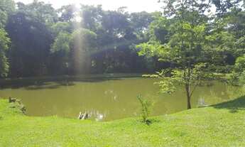 Imagem 2: Fazenda 13,50 Alqueires em Caldazinha