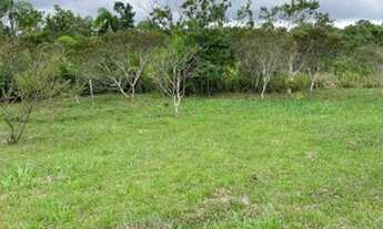 Imagem 2: Terreno à venda, 360 m² por R$ 70.000,00 - Balneário Terra Nova - Cananéia/SP