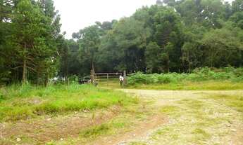 Imagem: Fazenda com 1.950 Hectares, Lage SC. Pecuária