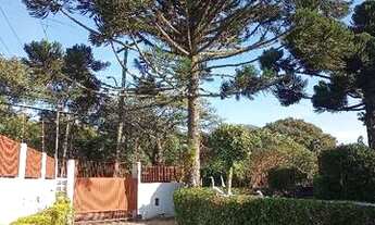 Imagem 4: Casa para alugar 3 dormitórios com piscina, churrasqueira, garagem fechada