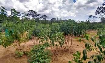 Imagem 7: Chácara 30 mil m² DF. 03 Hectares