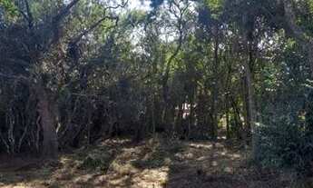 Imagem 3: Terreno com acesso a lagoa