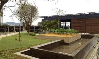 Imagem: FLORIANóPOLIS - Conjunto Comercial/Sala