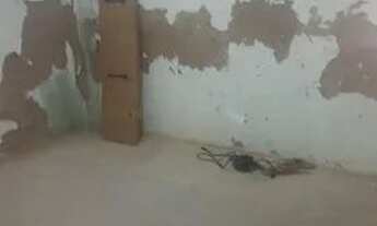 Imagem 4: Casa pra alugar Casa com 2 dormitórios