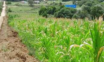Imagem 7: Vendo 2 equitares de terra em Canguçu