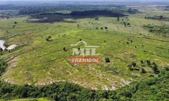 Imagem 2: Fazenda no Pará 465 Alq. (2.250 Há) Baião - Tailândia