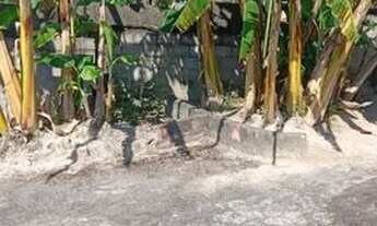 Imagem 5: Vendo casa com terreno 400m²