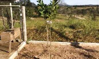 Imagem 3: Chácara PETROLINA DE GOIÁS