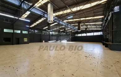 Imagem 5: SAO PAULO - Galpão/Depósito/Armazém - Saúde