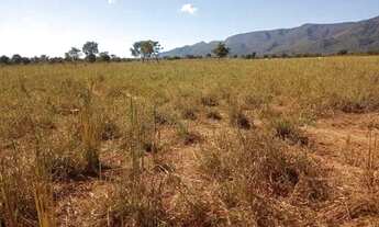 Imagem: Vende-se uma excelente chácara de 25 hectares