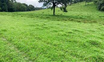 Imagem: LP- terreno em condomínio fechado