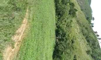 Imagem 3: Sítio 13,5 alqueires