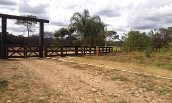 Imagem 3: Passo Fazendinha 20.000m2 com excelente preço em Cordisbugo Urgente