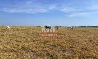 Imagem 7: Fazenda em Carolina - MA. 4.808 Há. (Dupla Aptidão