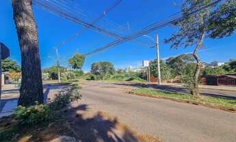 Imagem 3: Casa 2 dormitórios para locação na Petrópolis em Passo Fundo