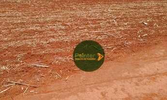 Imagem 4: Fazenda à venda, 10696400 m² por R$ 95.000.000,00 - Zona Rural - Palestina de Goiás/GO