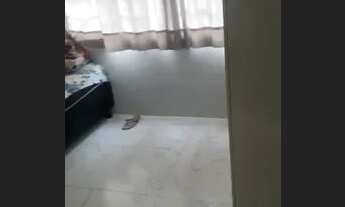 Imagem 5: Casa R$ 65 mil ao lado CPA 03