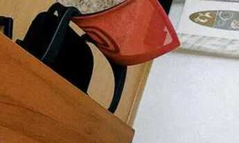 Imagem 2: Apartamento - Valparaíso - Dois quartos