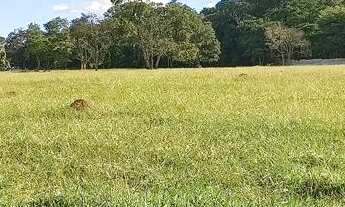 Imagem 5: 2,5 Alqueires as margens da GO-070 próximo a Itauçu/Go