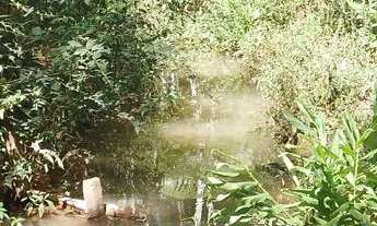 Imagem 4: Vendo Terra 4 alqueires e meio PA Rio Branco