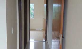 Imagem 4: Alugo Germinado no Vila Nova