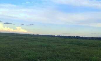 Imagem 11: Fazenda para Venda em São Félix do Xingu