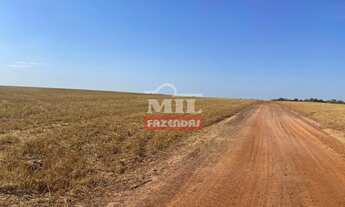 Imagem 3: Fazenda em Carolina - MA. 4.808 Há. (Dupla Aptidão