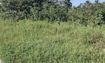 Imagem 3: Vendo terreno em Beberibe -ceara