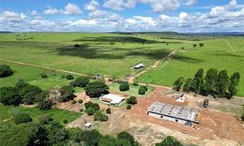 Imagem: Invista em uma fazenda de ILP com recursos