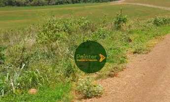 Imagem 5: Fazenda à venda, 10696400 m² por R$ 95.000.000,00 - Zona Rural - Palestina de Goiás/GO