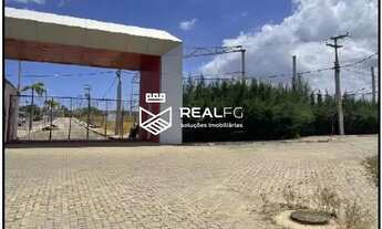 Imagem 2: São Gonçalo do Amarante/CE - Arapixi